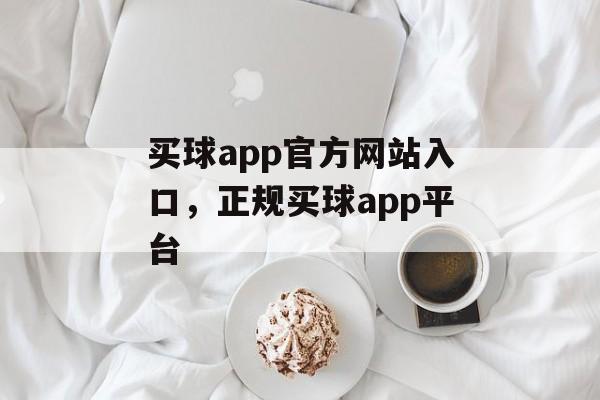 买球app官方网站入口，正规买球app平台